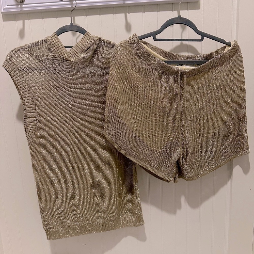 Zara shiny mesh hoodie and pants